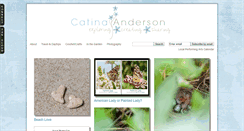 Desktop Screenshot of catinaanderson.com